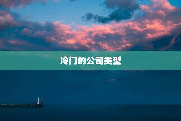 冷门的公司类型
