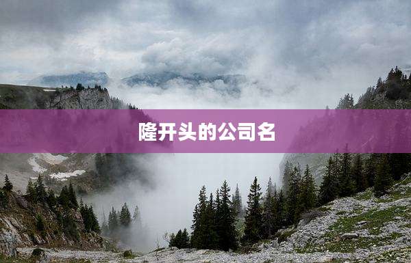 隆开头的公司名