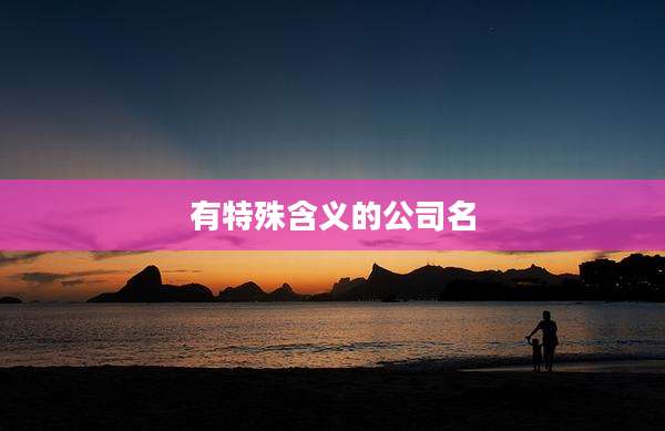 有特殊含义的公司名