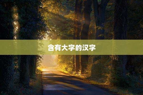 含有大字的汉字