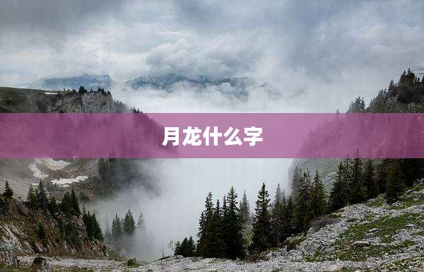 月龙什么字