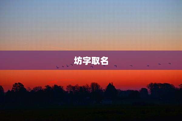 坊字取名