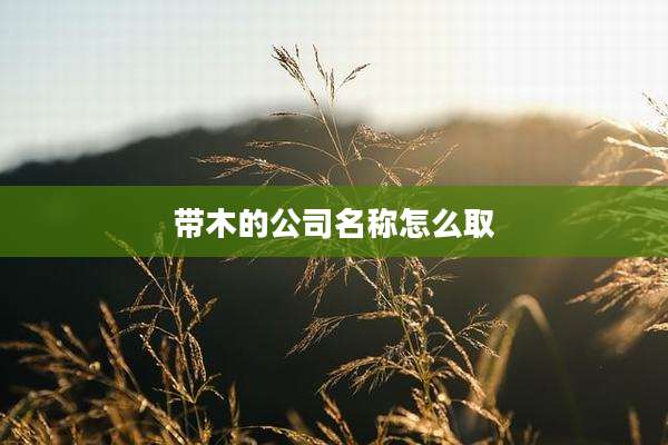 带木的公司名称怎么取
