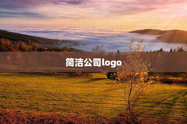 简洁公司logo