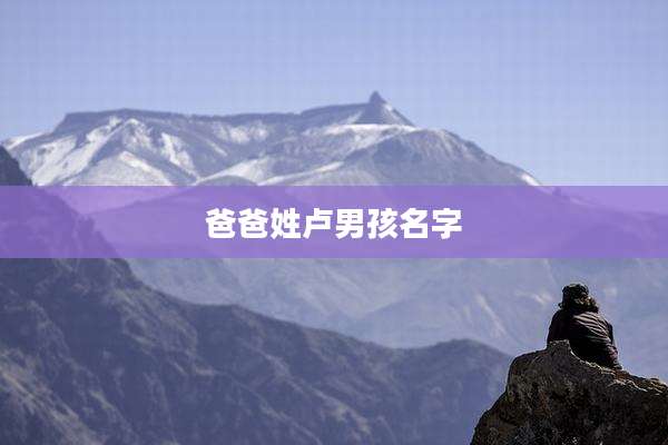 爸爸姓卢男孩名字