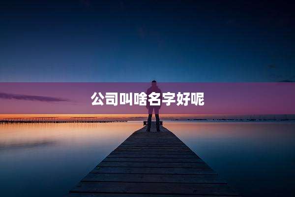 公司叫啥名字好呢