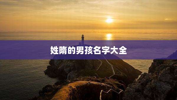 姓隋的男孩名字大全