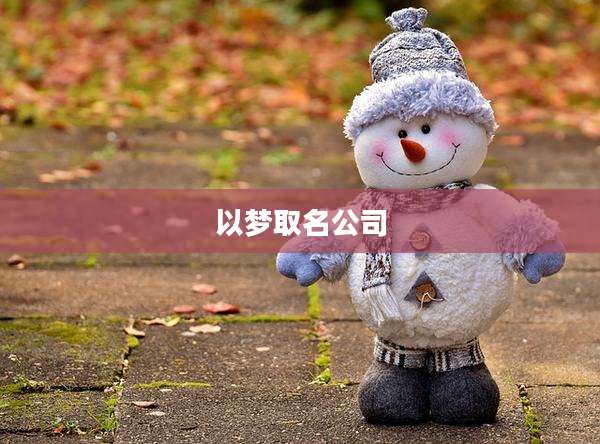 以梦取名公司