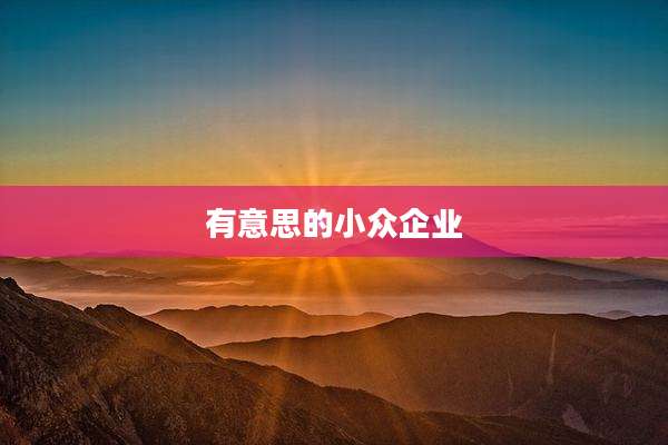 有意思的小众企业