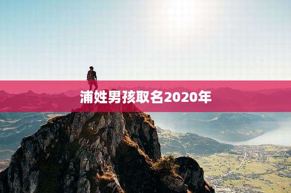 浦姓男孩取名2020年