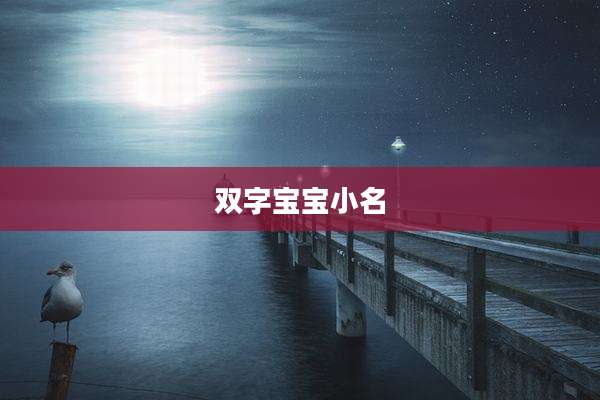 双字宝宝小名