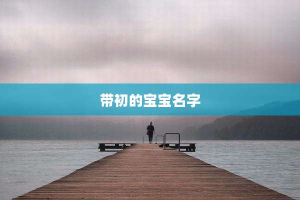 带初的宝宝名字