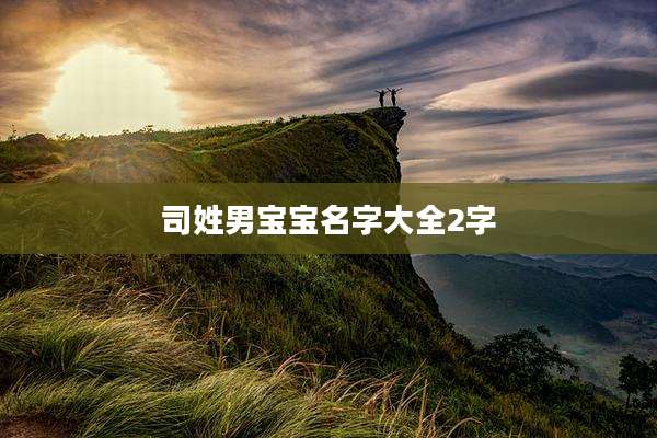 司姓男宝宝名字大全2字
