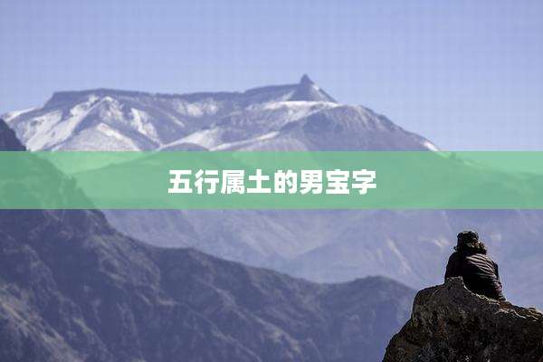 五行属土的男宝字