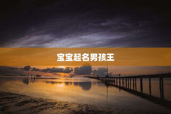宝宝起名男孩王