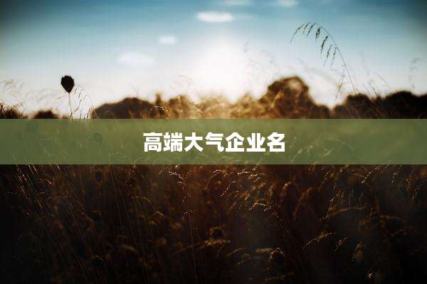 高端大气企业名