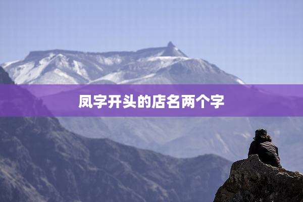 凤字开头的店名两个字