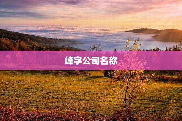 峰字公司名称