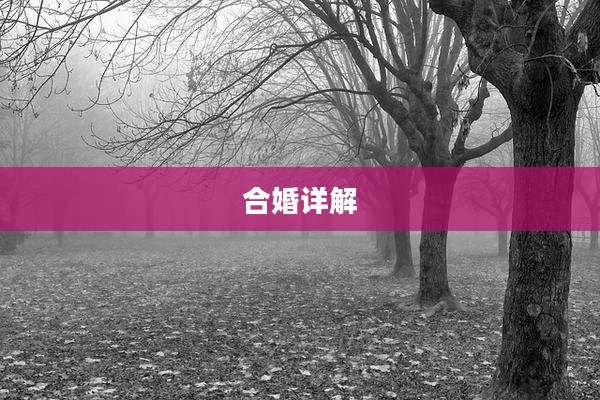 合婚详解