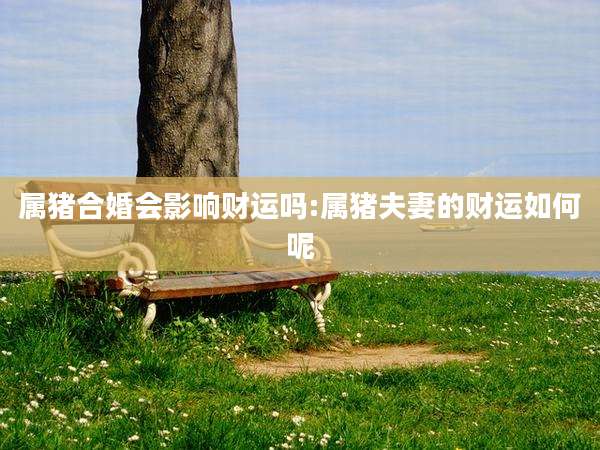 属猪合婚会影响财运吗:属猪夫妻的财运如何呢