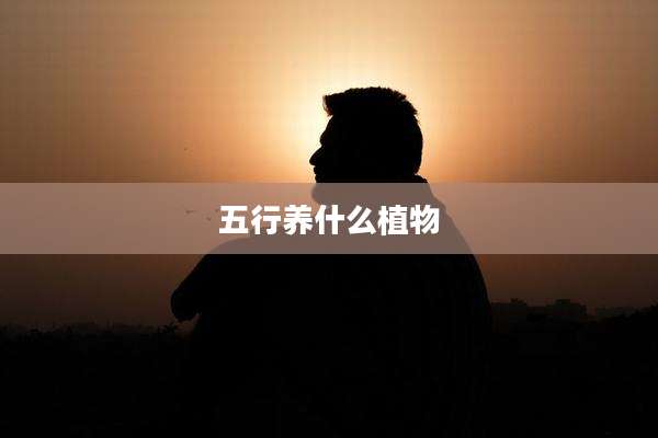 五行养什么植物