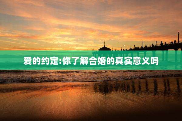 爱的约定:你了解合婚的真实意义吗