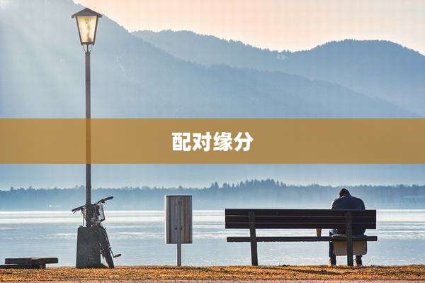 配对缘分