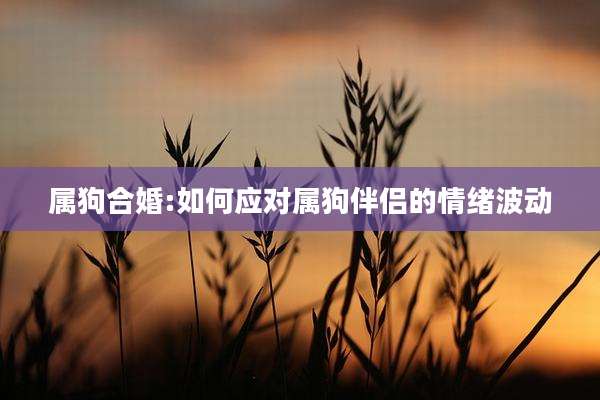 属狗合婚:如何应对属狗伴侣的情绪波动