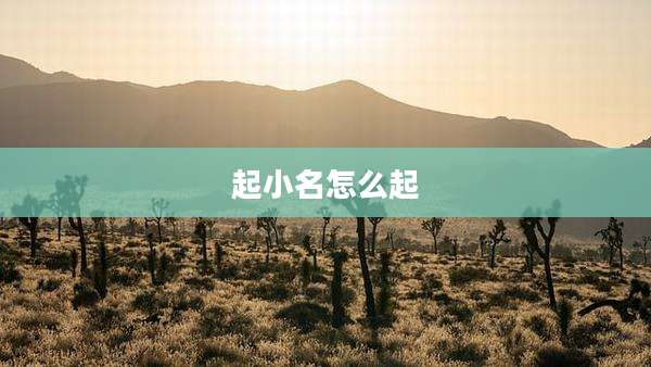 起小名怎么起