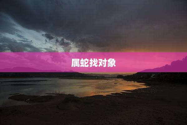 属蛇找对象