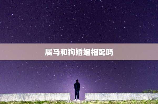 属马和狗婚姻相配吗