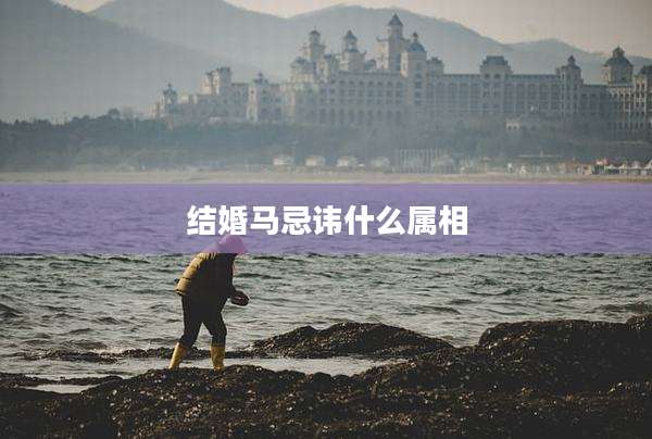 结婚马忌讳什么属相