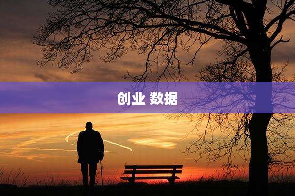 创业 数据