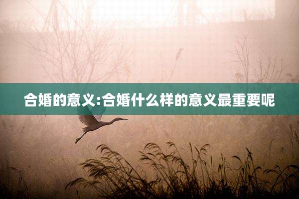合婚的意义:合婚什么样的意义最重要呢