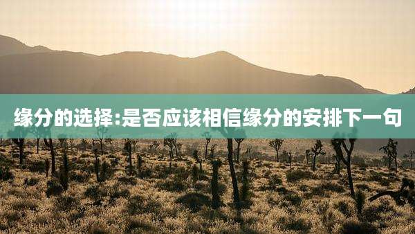 缘分的选择:是否应该相信缘分的安排下一句