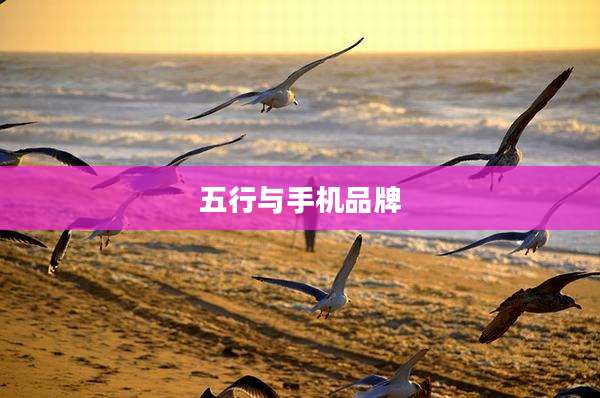五行与手机品牌