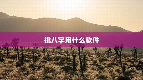 批八字用什么软件