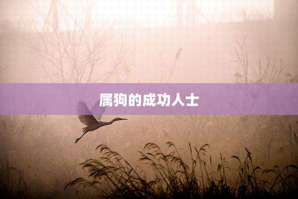 属狗的成功人士