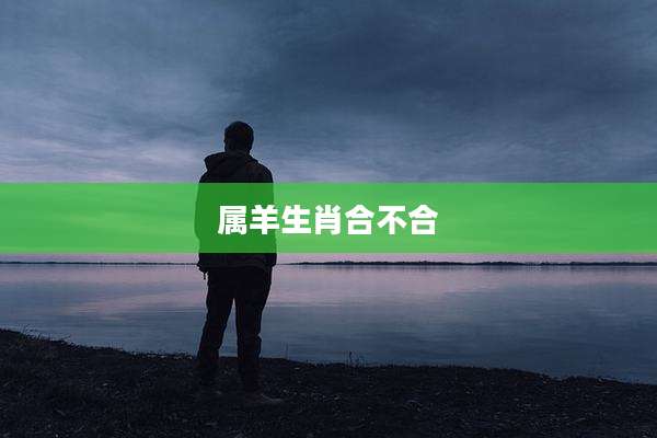 属羊生肖合不合