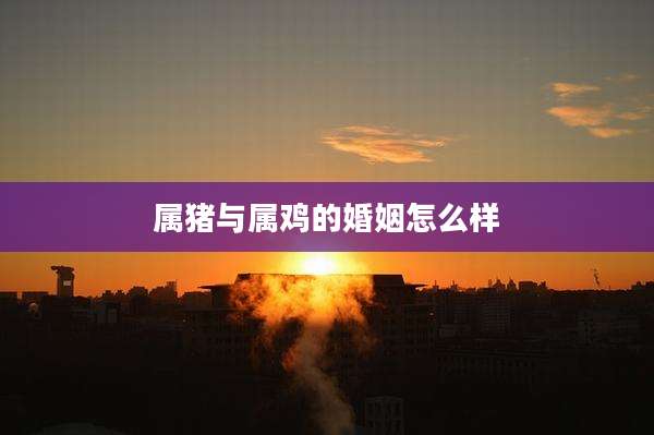属猪与属鸡的婚姻怎么样