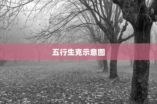 五行生克示意图