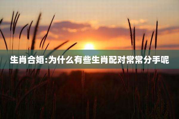 生肖合婚:为什么有些生肖配对常常分手呢