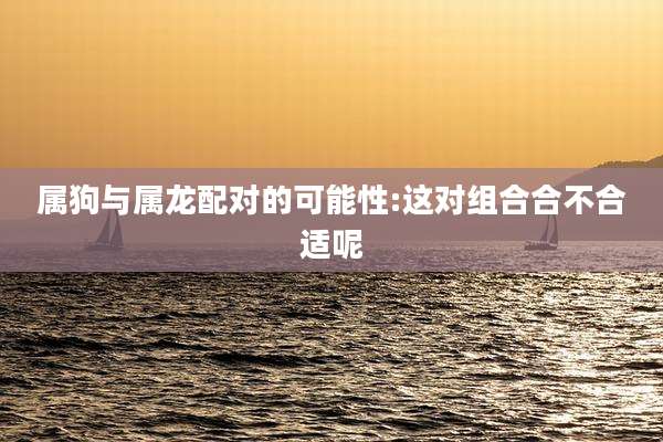 属狗与属龙配对的可能性:这对组合合不合适呢
