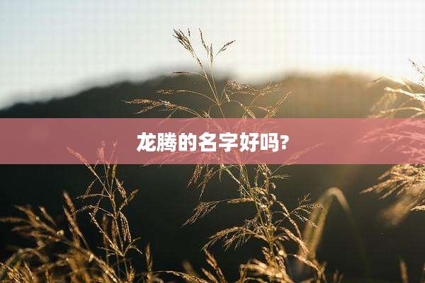 龙腾的名字好吗?
