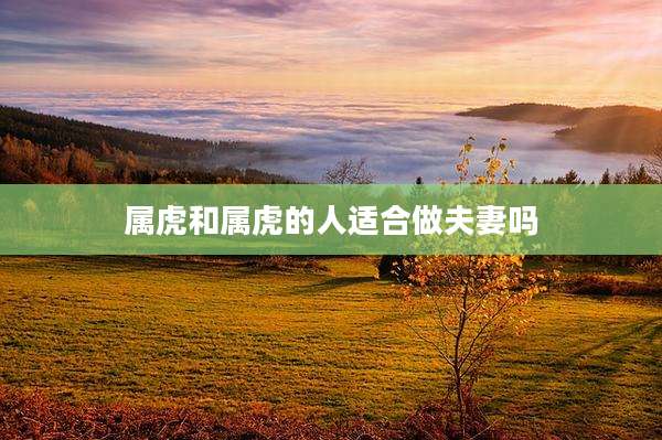 属虎和属虎的人适合做夫妻吗