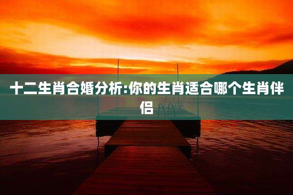 十二生肖合婚分析:你的生肖适合哪个生肖伴侣