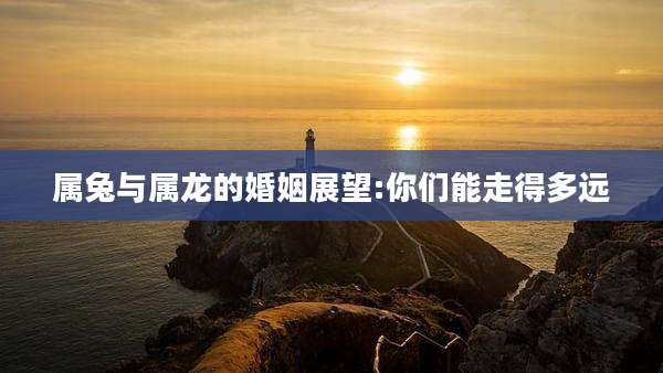 属兔与属龙的婚姻展望:你们能走得多远