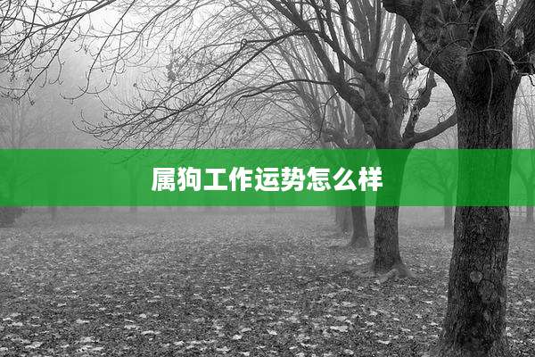 属狗工作运势怎么样