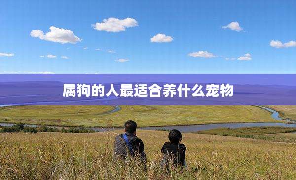 属狗的人最适合养什么宠物