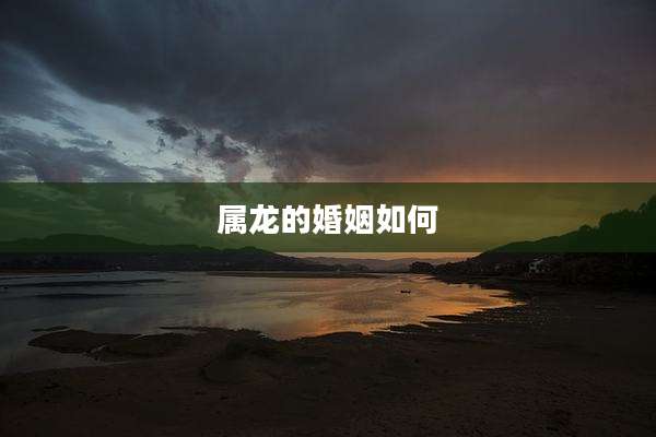 属龙的婚姻如何